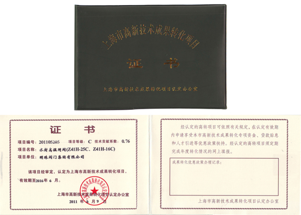 Shanghai high tech achievement transformation project certificate (DEC)