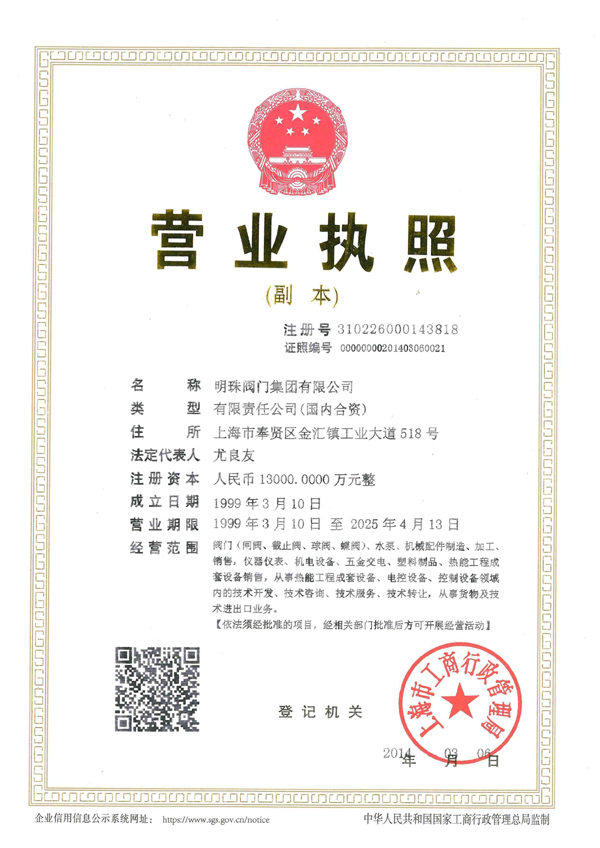 Copy of business license 2014