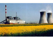 Shandong Weifang Power Plant